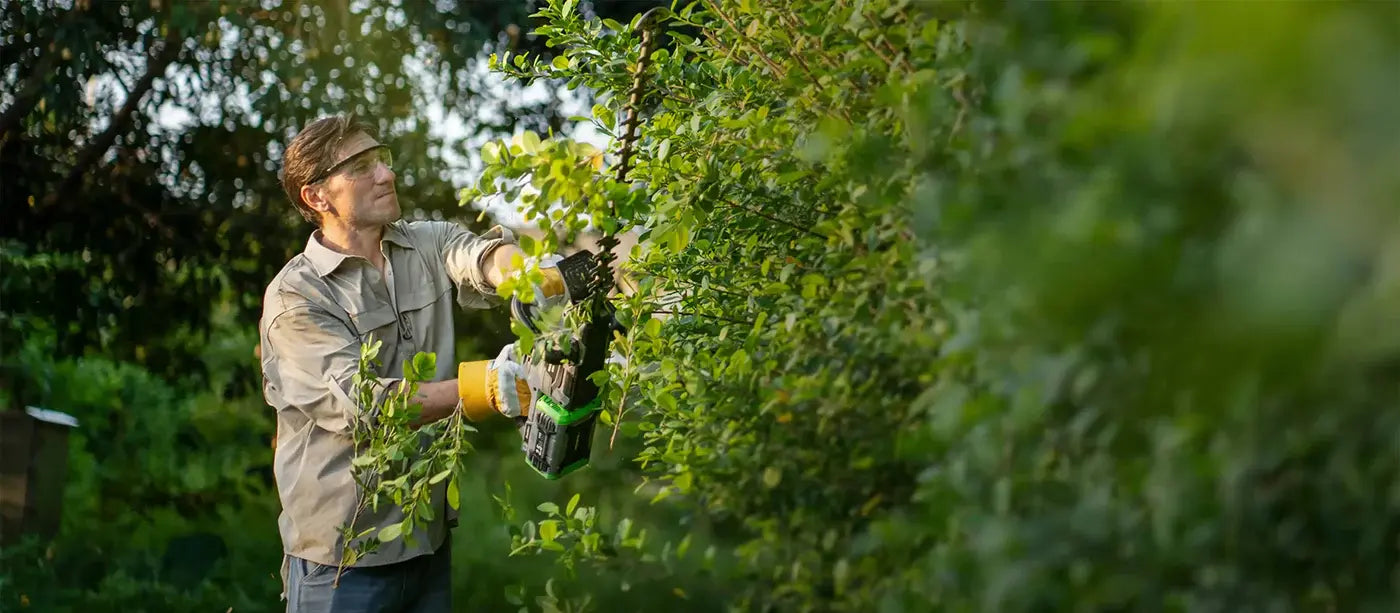 This Year, Give Your Husband His Weekends Back: The Magic of Cordless Lawn Care NovorikX