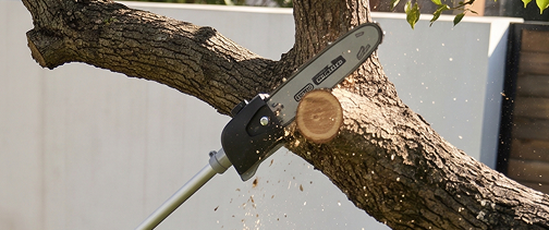Pole Saw
