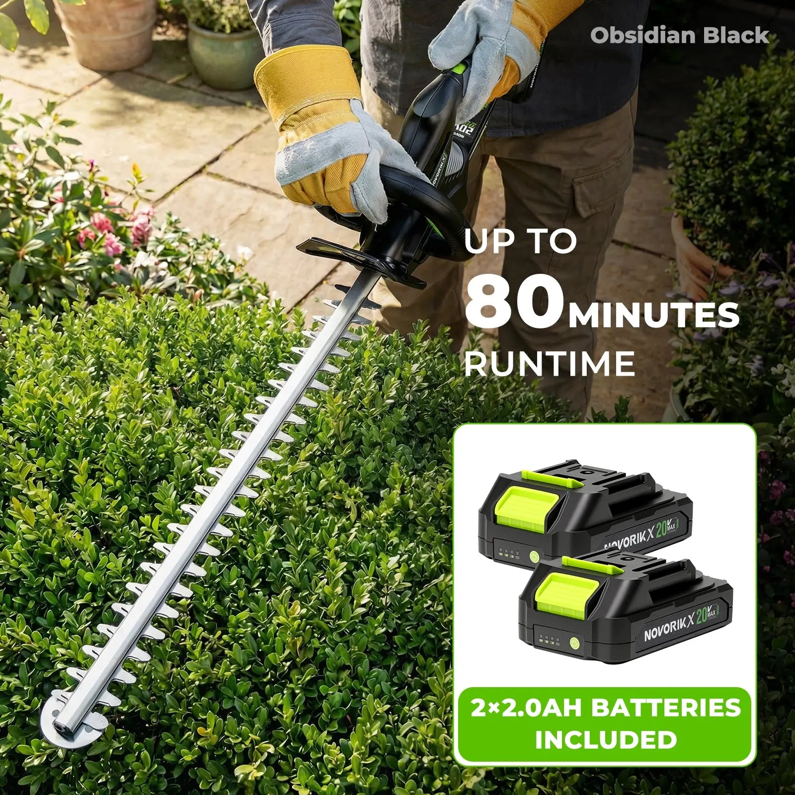 NovorikX Obsidian Black 20V Cordless 17-Inch Pole Hedge Trimmer Kit  NovorikX