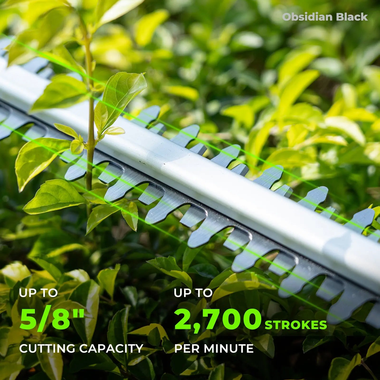 NovorikX Obsidian Black 20V Cordless 17-Inch Pole Hedge Trimmer Kit  NovorikX